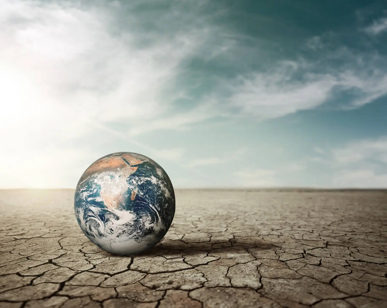 The Urgent Need for Climate Action: A Global Perspective